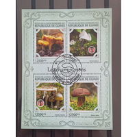 ЛИСТ ФЛОРА ЦВЕТЫ ГРИБЫ  СТО