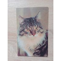 Календарик 1990