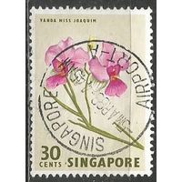 Сингапур. Цветы. Ванда Джоаким. 1963г. Mi#64.