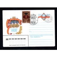 Художественный маркированный конверт СССР со спецгашением N 15480 (02.03.1982) Анатолий Карпов - трехкратный чемпион мира по шахматам Чемпион 1975 Чемпион мира 1978 Чемпион мира 1981