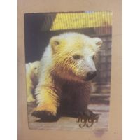 Календарь 1991 Медвежонок