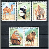 Куба - 1997г. - Животные зоологического сада - 5 марок - полная серия, MNH [Mi 3996-4000]. #O-Se-Z-1-3