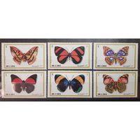 Ум-эль-Кувейн. 1975 год. Фауна. Бабочки (177)