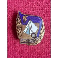 Знак Юный турист. ГДР.