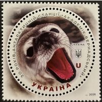 Украина 2026. Антарктическая станция Акадкмик Вернадский . Фауна. Тюлень.