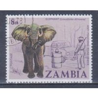 [2297] Замбия 1978. Фауна.Африканский слон. Гашеная марка.