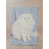 Календарик 1993