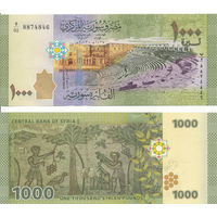 Сирия 1000 фунтов образца 2013 года UNC p116