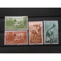 Испанская Ифни 1959 Домашние животные