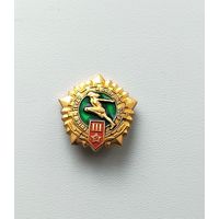ГТО 3 степень. 283.