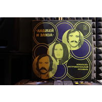 Andrzej I Eliza - Анджей И Элиза. Вокально-инструментальный Ансамбль (Польша) (1978, Vinyl)