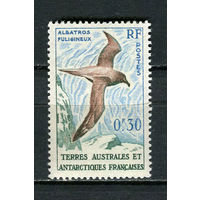 Французские Южные и Антарктические территории (TAAF) - 1959 - Птицы 30С - [Mi.14] - 1 марка. MNH.  (Лот 7JR)-T3P19