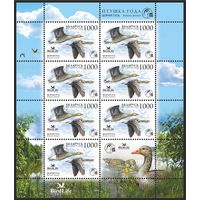 2009 БЕЛАРУСЬ  коллекционная марка "Птица года. Серый гусь"    MNH