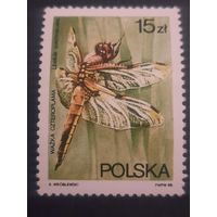 Польша 1988. Фауна. Стрекозы. Марка из серии