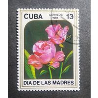 Марка Куба 1985 год Цветы