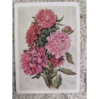 Астры открытка Морозова 1959 со штампом переоценка 1961 года