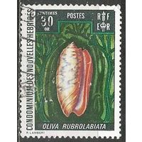 Новые Гебриды. Ракушка Олива. 1972г. St#340.