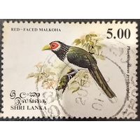 Шри Ланка 1993. Флора. Птицы. Red Faced Malckoha