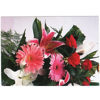 Беларусь. Почтовая карточка без в/д