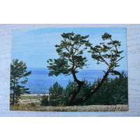 Прибалтика, Латвийская ССР, Побережье в Саулкрасты; чистая.