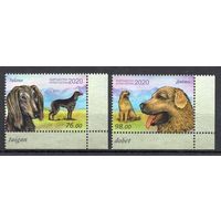 Кыргызстан 2020.Собаки 2 марки (968)