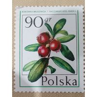 Польша. Флора. Брусника