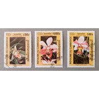 Орхидеи. Камбоджа,1999