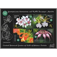Центральный ботанический сад НАН Беларуси. Орхидеи. Беларусь,2016