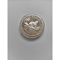 Сомали 2021 Леопард унцовка