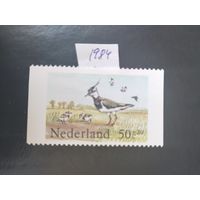 Нидерланды 1984 птицы