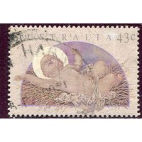 Австралия. Рождество 1991