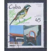 [806] Куба 1995. Фауна.Птицы.45с. Гашеная марка.