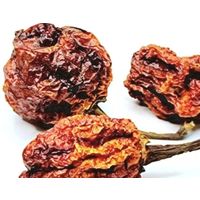Острый Перец Тринидат Скорпион Trinidad Scorpion жгучий, ароматный, супер