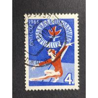 1965 СССР. 9-я Всесоюзная спартакиада школьников, 1965 год, Минск