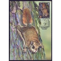 Беларусь 2021 Картмаксимумы фауна