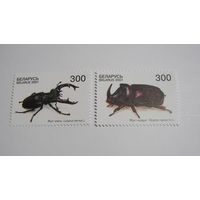 Жук. Олень. Жук носорог. 2м. 2001