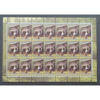 Беларусь.2008. Стандарт 10 коп. Енотовидная собака, зак.370-2008 (лист, чистый)
