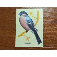 Спичечная этикетка Снегирь