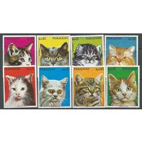 Парагвай. Кошки. 1976г. St#2765-72. Серия.