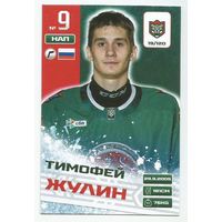 Тимофей Жулин / Коллекция "Ак Барс Казань 2025-206"