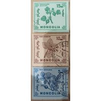 Монголия. Флора монголии