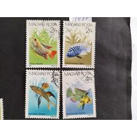 Венгрия  1987 4 м акв.рыбы