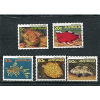 Австралия. Морская фауна