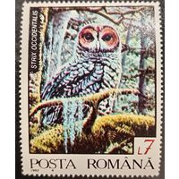 Румыния 1992. Фауна. Птицы. Strix Occidentalis