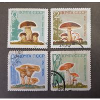Марки. СССР. 1959 год. Флора. Грибы (неполная серия, 4 марки из набора)