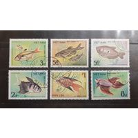 Вьетнам. 1984 год. Фауна. Рыбы (11)