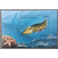 1998 Каракатица обыкновенная Федеральная Исламская Республика Коморские острова