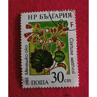 Болгария, 1988, цветы