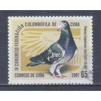 [2270] Куба 2001. Фауна.Птицы.Голубь. Гашеная марка. 1