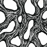 Taakeferd - Nar Sirkelen Brytes Digi-CD